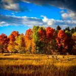 AdobeStock 128813008 hero