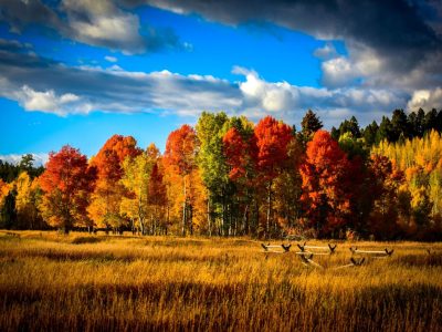 AdobeStock_128813008-hero