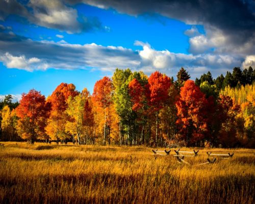 AdobeStock_128813008-hero