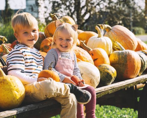 AdobeStock_462157197-hero