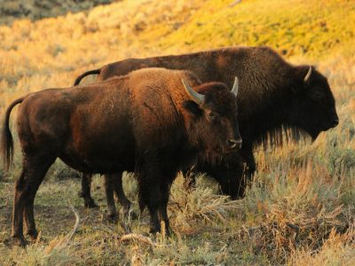 Blog post images (5)