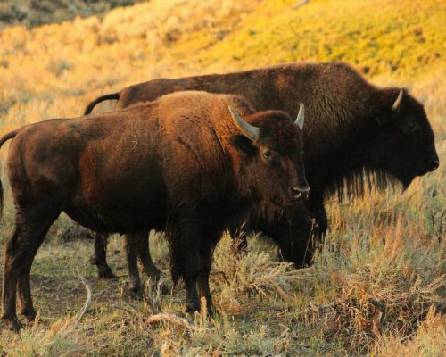 Blog post images (5)