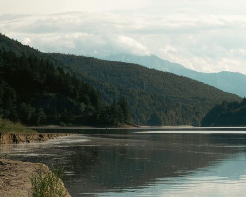 MGIS_Fly Fishing_Blog